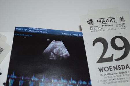 Pretecho om het geslacht te bepalen! Ik maak er helemaal niks van maar het blijkt toch echt een dametje te worden! *happy happy happy*  Harttoontjes waren heel leuk om nog es te zien. *29 maart 2017*